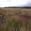 Walkover survey photograph, Drumfork, Bridge of Cally