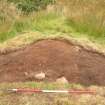 Excavation, Site 2, Pre-excavation 001 from N, Blasthill, Argyll, 2007