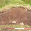 Excavation, Site 2, Pre-excavation 001 from N, Blasthill, Argyll, 2007