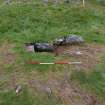 Excavation, Trench B, Pre-excavation from W, Blasthill Chambered Tomb, 2009