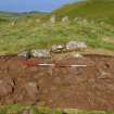 Excavation, Trench B, Trench deturfed and cleaned from E, Blasthill Chambered Tomb, 2009