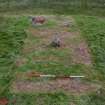 Excavation, Trench B, Pre-excavation from S, Blasthill Chambered Tomb, 2009