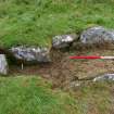 Excavation, Trench B, Pre-excavation from E, Blasthill Chambered Tomb, 2009