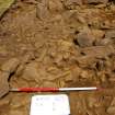 Excavation, Trench B, Small additional cairn material from N, Blasthill Chambered Tomb, 2009