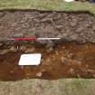 Excavation, Trench B, Section #12 from W, Blasthill Chambered Tomb, 2009