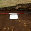 Excavation, Trench A, Section #38 from S, Blasthill Chambered Tomb, 2009