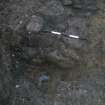 Archaeological evaluation, Trench 3, Section through wall foundations [008] from E, Archers Hall, 66 Buccleuch Street