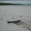 Archaeological survey, Detail of wreck on beach, Wreck on the Island of Fuday, Barra