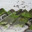Archaeological survey, Detail view of wreck, Wreck on the Island of Fuday, Barra
