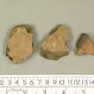 Low resolution jpeg of pottery from excavation.