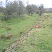 Watching brief, Detail of the railway embankment from E, M8 enabling works, Coatbridge