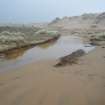 Watching brief, Section along NW side of disturbed track, Trump International Golf Links