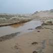 Watching brief, Section along NW side of disturbed track, Trump International Golf Links