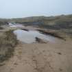 Watching brief, NE end of disturbed track, Trump International Golf Links