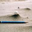 Photographic and electronic survey, Flint flake sitting on sand pillar formed by wind erosion in dune to the E of Flint Scatter 1, Trump International Golf Links