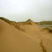 Photographic and electronic survey, Recently formed dune to the north of deflation surface, Trump International Golf Links