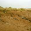 Photographic and electronic survey, Small streams cut into shallow ridge W of Flint Scatter 1, Trump International Golf Links