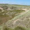 Archaeological test pits, Test pits TP05–6 seen from dune to the E, Trump International Golf Links