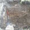 Archaeological monitoring, N facing section in Tr3, Hopetoun House Biomass