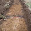 Archaeological evaluation, View of Trench 60, Housing Development at Parks Farm, Invernesshire