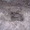 Archaeological evaluation, View of Trench 81, Housing Development at Parks Farm, Invernesshire