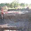 Archaeological evaluation, Trench 4, wall 005, Allanbank, Duns, Scottish Borders