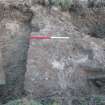 Archaeological evaluation, Trench 6, wall 030, Allanbank, Duns, Scottish Borders
