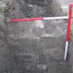 Archaeological evaluation, Trench 5, wall 018, Allanbank, Duns, Scottish Borders