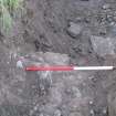 Archaeological evaluation, Trench 5, wall 025, Allanbank, Duns, Scottish Borders