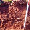 Archaeological evaluation, Section edge of trench 1 showing mixed subsoil consisting of redeposited topsoil and natural, Black Castle Farm, East Lothian