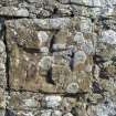 Detail of medieval cross, Kingston Hill. 