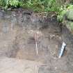 Archaeological monitoring, E end of trench 4 showing the W facing section and wall (011), Hopetoun House Biomass