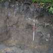 Archaeological monitoring, S facing section of trench 4 at the E end showing wall (011), Hopetoun House Biomass