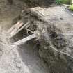 Archaeological monitoring, E end of trench 4, Hopetoun House Biomass