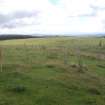 Cultural heritage assessment, Site 52 detail, Langhope Rig Windfarm Grid Connect, near Hawick