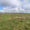 Cultural heritage assessment, Site 52, Langhope Rig Windfarm Grid Connect, near Hawick
