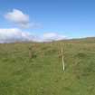 Cultural heritage assessment, Site 52, Langhope Rig Windfarm Grid Connect, near Hawick