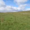 Cultural heritage assessment, Site 52, Langhope Rig Windfarm Grid Connect, near Hawick