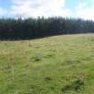 Cultural heritage assessment, Site 52, Langhope Rig Windfarm Grid Connect, near Hawick