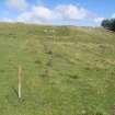 Cultural heritage assessment, Site 52, Langhope Rig Windfarm Grid Connect, near Hawick