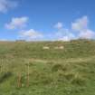 Cultural heritage assessment, Site 53, Langhope Rig Windfarm Grid Connect, near Hawick
