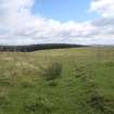 Cultural heritage assessment, Track way cutting through 52.1 from W to E, Langhope Rig Windfarm Grid Connect, near Hawick