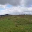 Cultural heritage assessment, Feature (bank) likely associated wiht 52.1 located to the SW of 52.1, Langhope Rig Windfarm Grid Connect, near Hawick