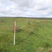 Cultural heritage assessment, Share wall between 52.2 and 52.3, Langhope Rig Windfarm Grid Connect, near Hawick