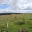 Cultural heritage assessment, General area of 52.2, Langhope Rig Windfarm Grid Connect, near Hawick
