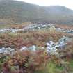 Walkover survey, Site 2e, W end of enclosure, Aberchalder Burn and Allt A'Choire