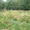 Archaeological evaluation, General shot of N area, Aberchalder Burn and Allt A'Choire