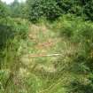 Archaeological evaluation, Structure 2- following bracken removal- E wall, Aberchalder Burn and Allt A'Choire