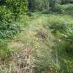 Archaeological evaluation, Structure 2- following bracken removal- N wall, Aberchalder Burn and Allt A'Choire