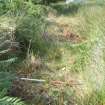 Archaeological evaluation, Structure 2- following bracken removal- S wall, Aberchalder Burn and Allt A'Choire